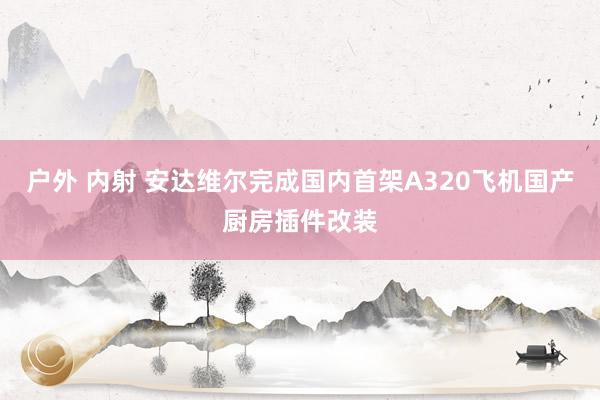 户外 内射 安达维尔完成国内首架A320飞机国产厨房插件改装