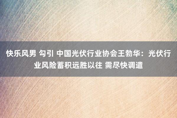 快乐风男 勾引 中国光伏行业协会王勃华：光伏行业风险蓄积远胜以往 需尽快调遣