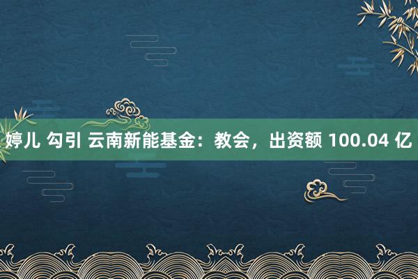 婷儿 勾引 云南新能基金：教会，出资额 100.04 亿