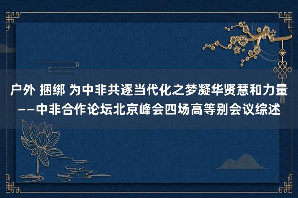 户外 捆绑 为中非共逐当代化之梦凝华贤慧和力量——中非合作论坛北京峰会四场高等别会议综述